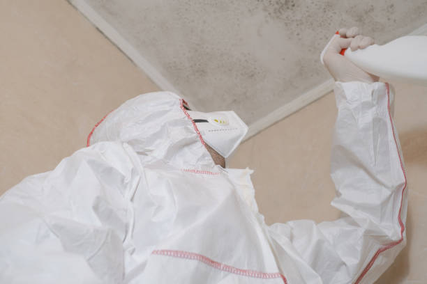 Best Industrial Mold Remediation in Clearview, WA